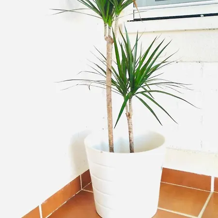 Con Jardin Puy Du Fou A 10 Min ,no Fiestas!! *