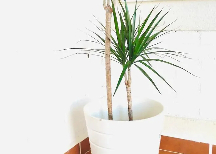 Con Jardin Puy Du Fou A 10 Min ,no Fiestas!! *